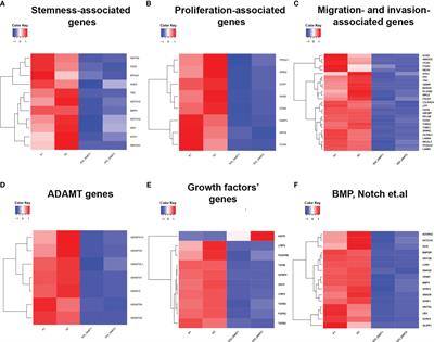 GQIcombi application to subdue glioma via differentiation therapy